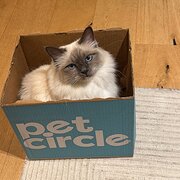 Home Owner wanting sitter in , South Australia