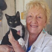 House Sitter - Awesome Carer