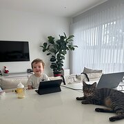 Home Owner wanting sitter in Brisbane, Queensland