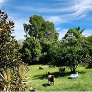 Home Owner wanting sitter in , Queensland
