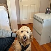 Home Owner wanting sitter in , Victoria