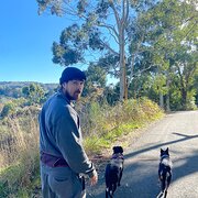 House Sitter - The Schulz Sitters