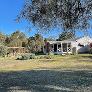 Home Owner wanting sitter in Castlemaine, Victoria