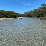 Home Owner wanting sitter in Sydney/Canberra, New South Wales