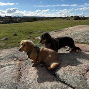 Home Owner wanting sitter in Perth, Western Australia