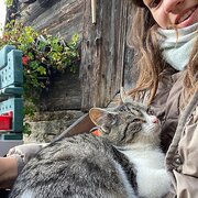 House Sitter - Sophie