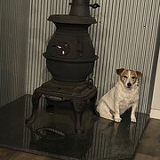 Home Owner wanting sitter in Northam , Western Australia
