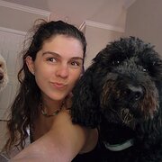 House Sitter - Taylor- WFH Traveler