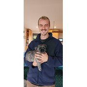 House Sitter - Reliable House & Pet Sitter Available