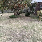 Home Owner wanting sitter in , Victoria