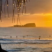 Home Owner wanting sitter in Maroochydore , Queensland