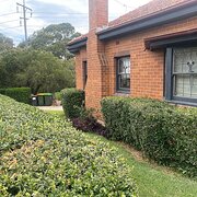 Home Owner wanting sitter in Sydney, New South Wales