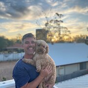House Sitter - Mature, Reliable & Flexible