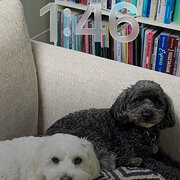 Home Owner wanting sitter in Encounter Bay, South Australia