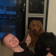 House Sitter - JT