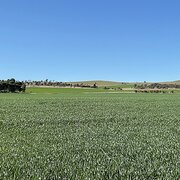 Home Owner wanting sitter in , South Australia