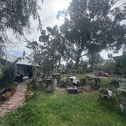 Home Owner wanting sitter in Point Lonsdale, Victoria