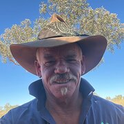 House Sitter - Reliable honest ex farmer
