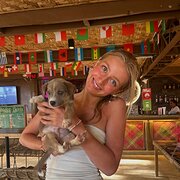 House Sitter - Animal loving dane