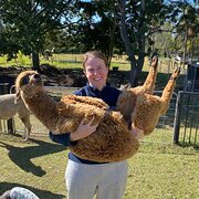 House Sitter - Reliable WFH animal lover