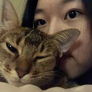 House Sitter - Sky