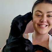 House Sitter - Ashton Paige