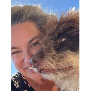 House Sitter - Ms