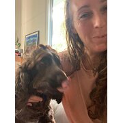 House Sitter - My love language is pet sitting