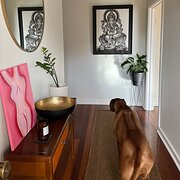 Home Owner wanting sitter in , Western Australia