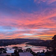 Home Owner wanting sitter in Hobart, Tasmania