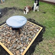 Home Owner wanting sitter in , Victoria