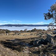 Home Owner wanting sitter in Canberra, New South Wales