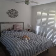 Home Owner wanting sitter in Brisbane, Queensland