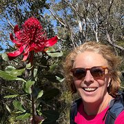 House Sitter - Adventure Girl