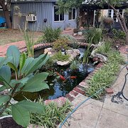 Home Owner wanting sitter in Perth, Western Australia