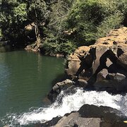 Home Owner wanting sitter in Sunshine Coast, Queensland