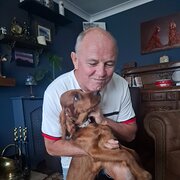 House Sitter - Husband & Wife starting retirement