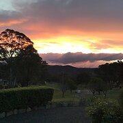 Home Owner wanting sitter in Canberra, New South Wales