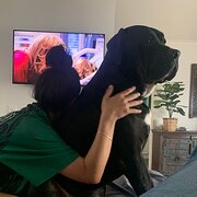 Home Owner wanting sitter in , Queensland