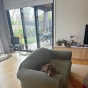 Home Owner wanting sitter in , Australian Capital Territory