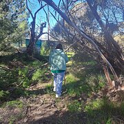 Home Owner wanting sitter in Murray Bridge, South Australia