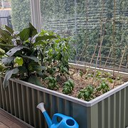 Home Owner wanting sitter in Launceston , Tasmania