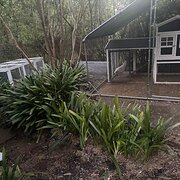 Home Owner wanting sitter in , New South Wales