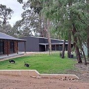 Home Owner wanting sitter in Bunbury, Western Australia
