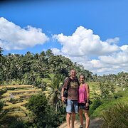 House Sitter - Activeminders