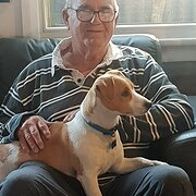 Home Owner wanting sitter in , New South Wales