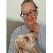 House Sitter - Solo female non-smoker, works from home