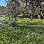 Home Owner wanting sitter in Canberra, Australian Capital Territory