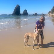Home Owner wanting sitter in Batemans Bay, New South Wales