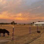 Home Owner wanting sitter in Albury, New South Wales